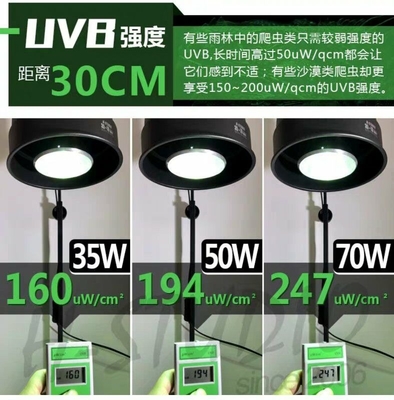 35W爬虫類UVB PAR E27 アルミニウムHIDランプ 6000K 日光警報