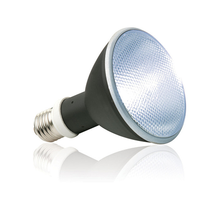 持続可能 60w 45w 30w HID メタルハリド バラスト